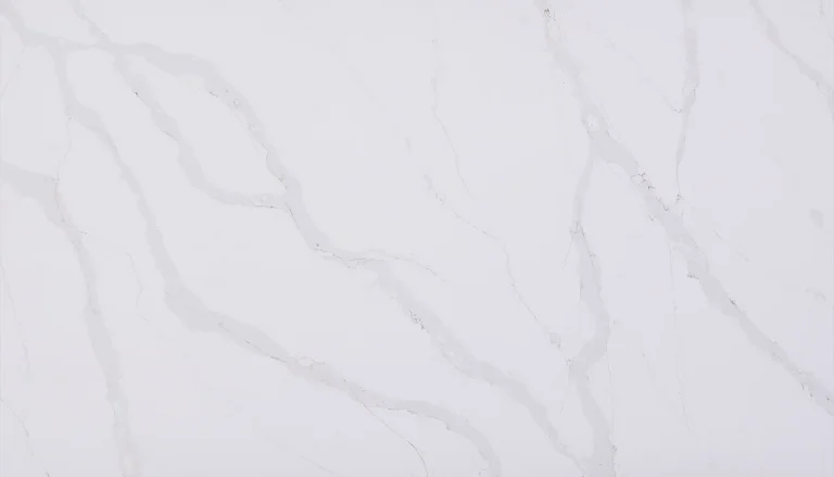 A5003 Michelangelo