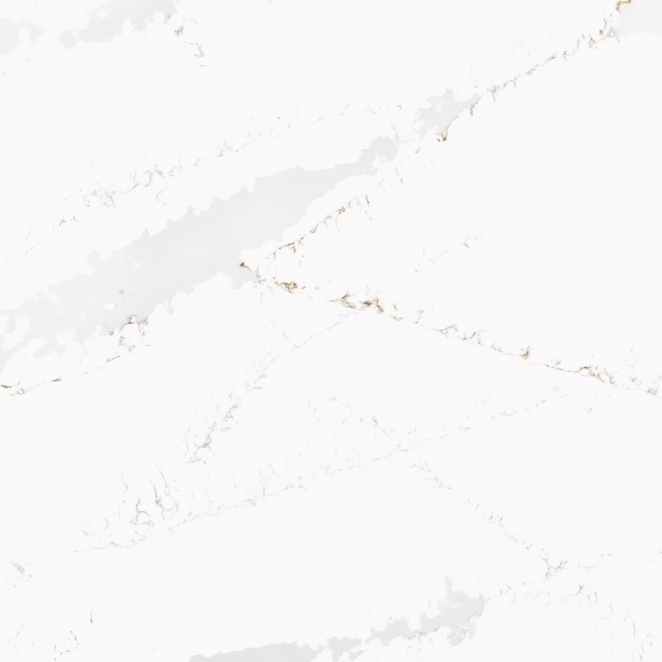 1221 Calacatta Valencia