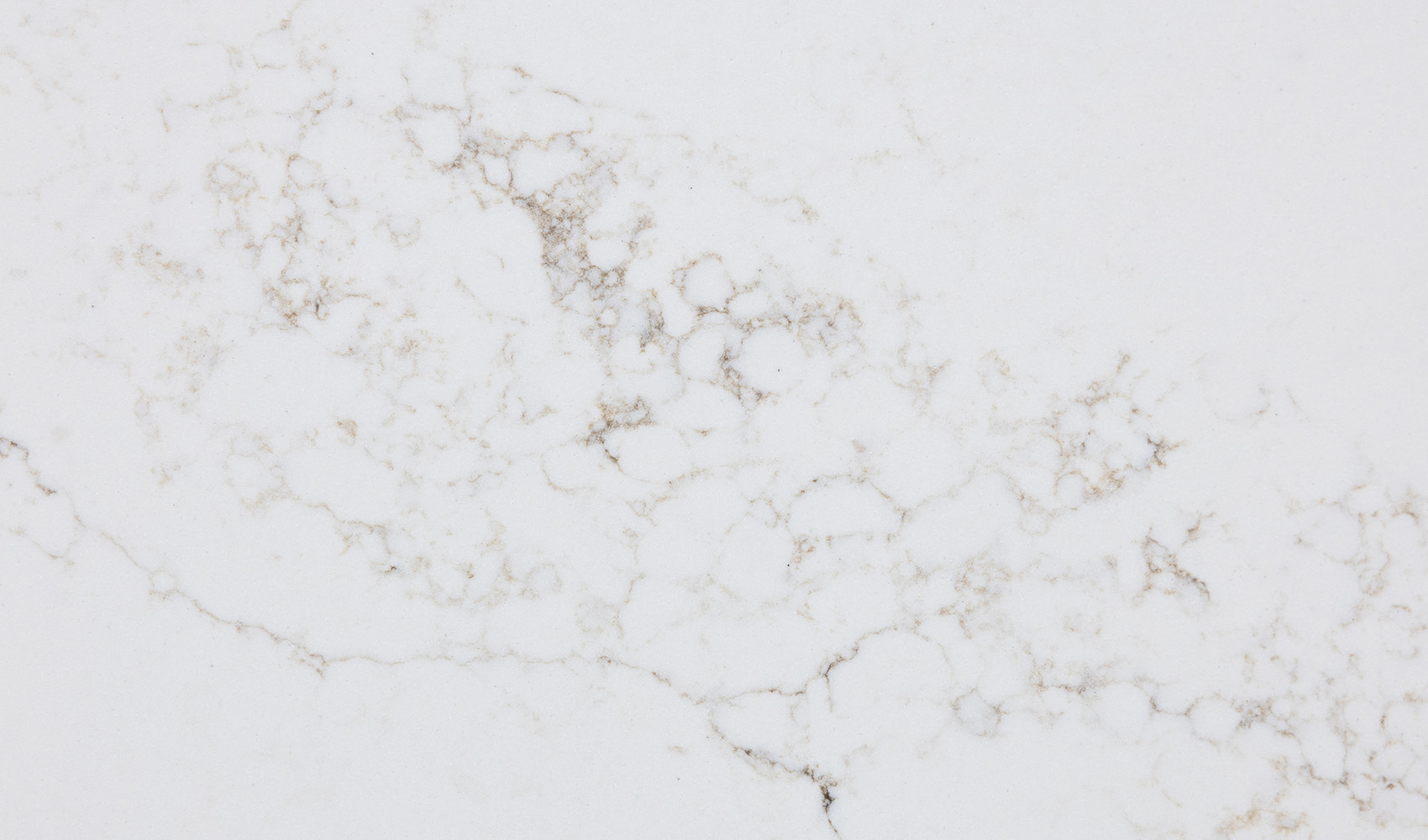 Canvas Gold EQCM 059