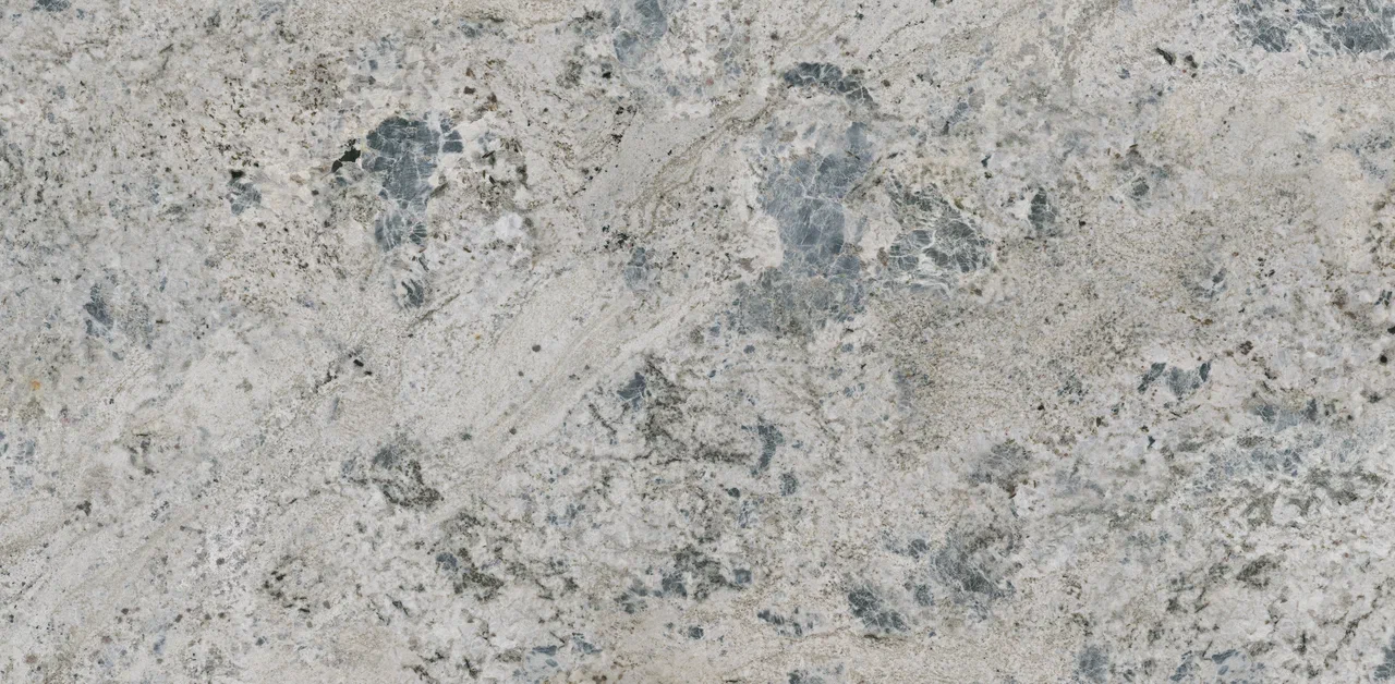 Coante 10402 Selvion