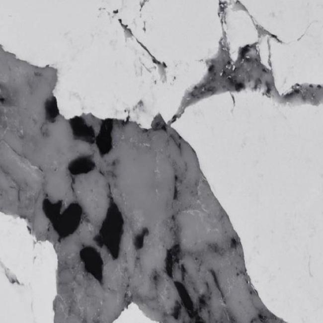 Q902 Patagonia Platinum