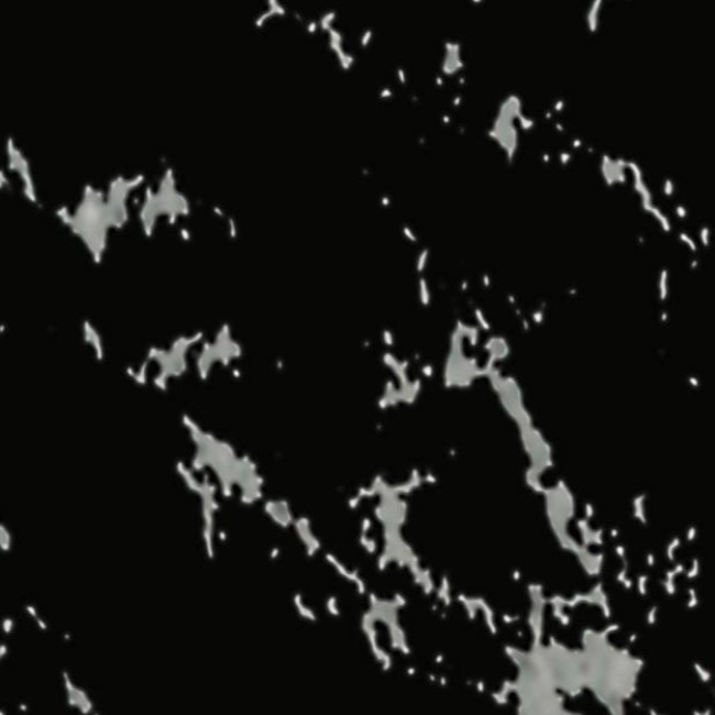 Q921 Arabescato Black