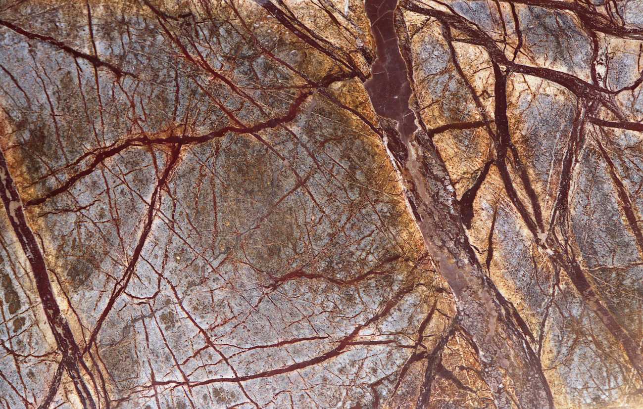 Forest Brown — мрамор — фрагмент