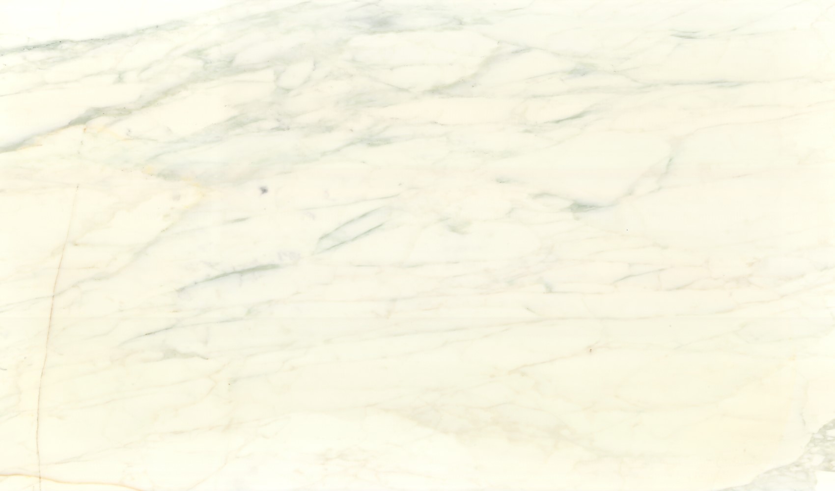 Calacatta Caldia — мрамор — фрагмент