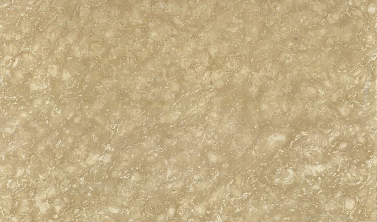 Shells Reef Beige — мрамор — фотография камня
