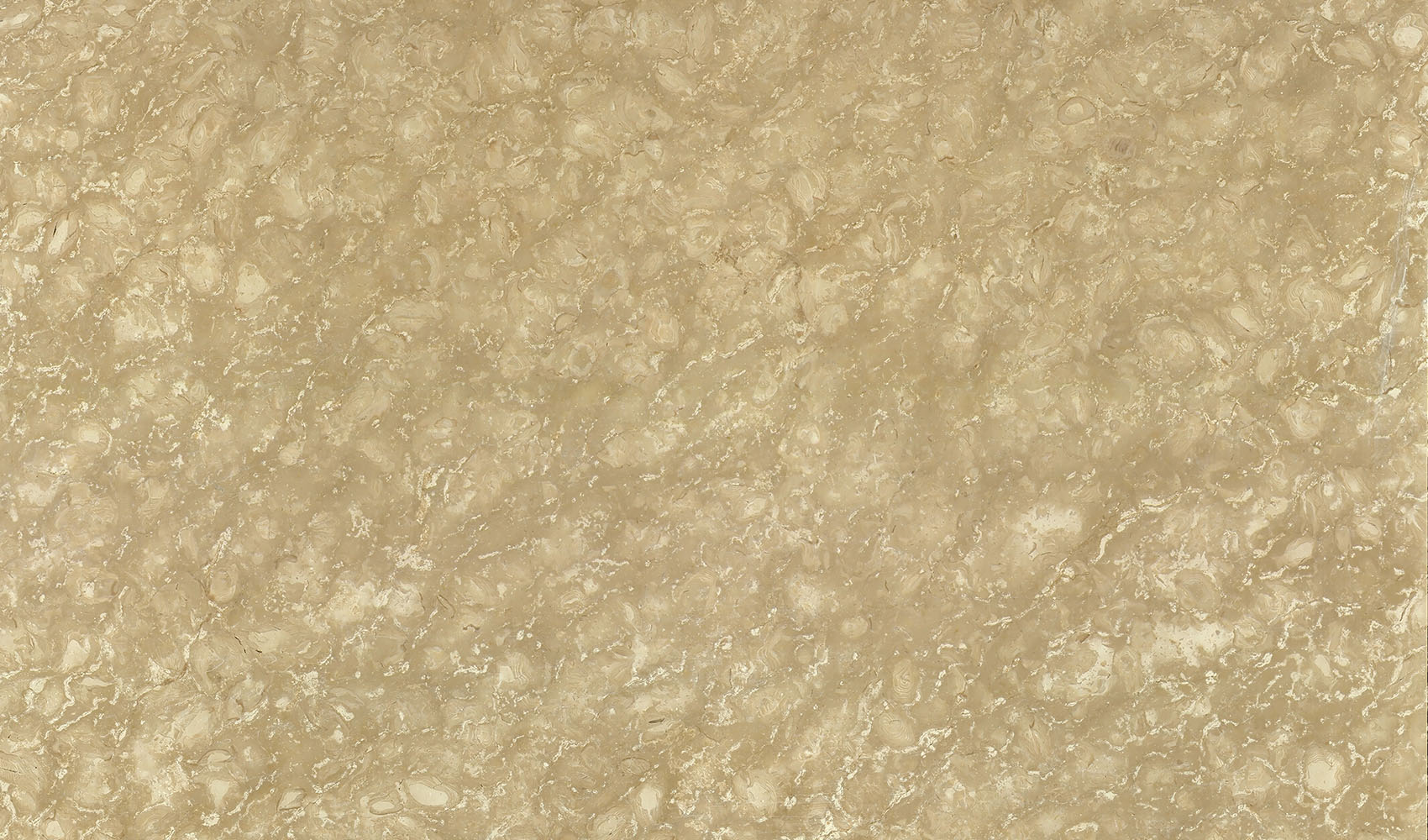 Shells Reef Beige — мрамор — фрагмент