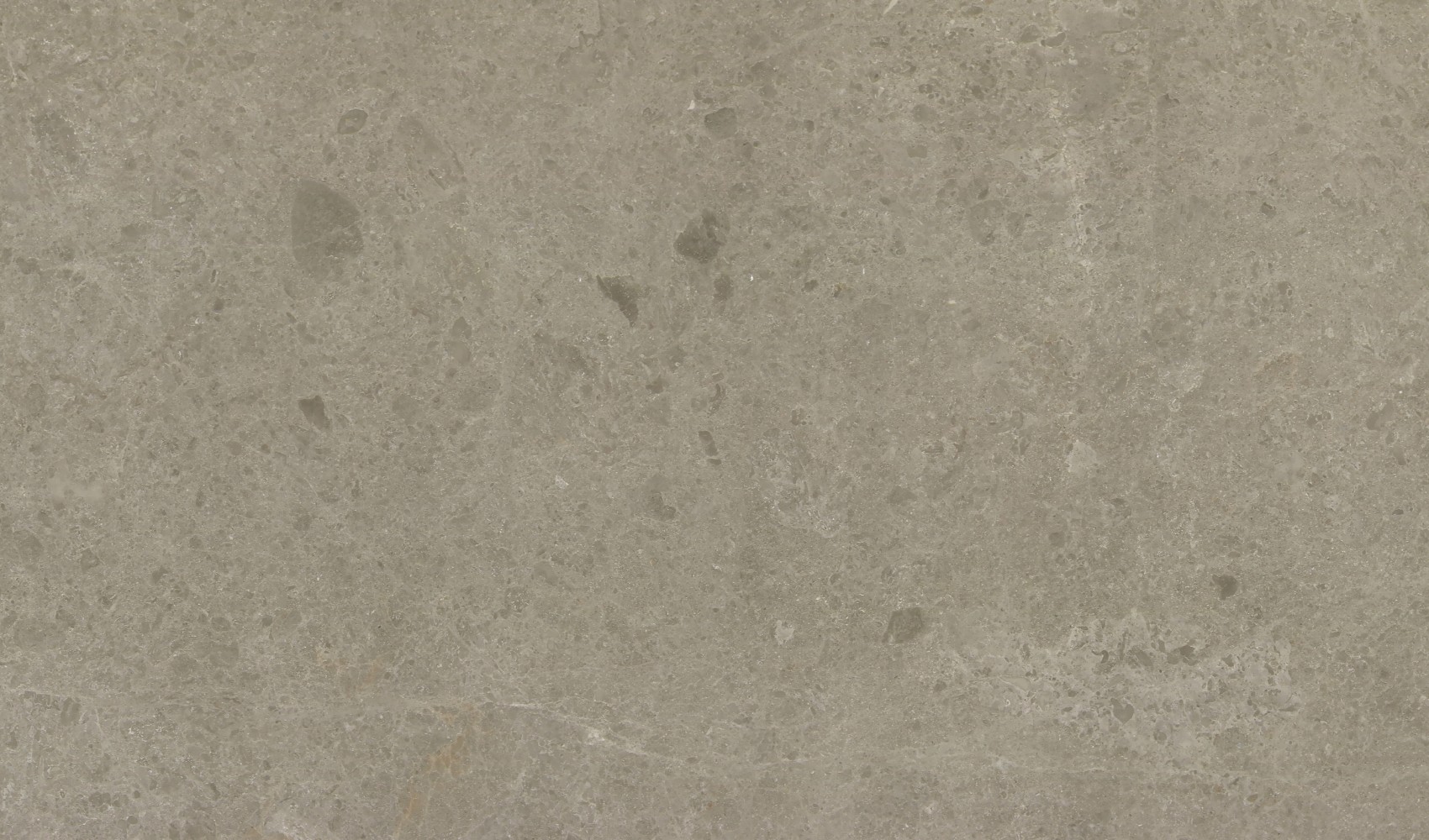Delicato Grey — мрамор — фрагмент