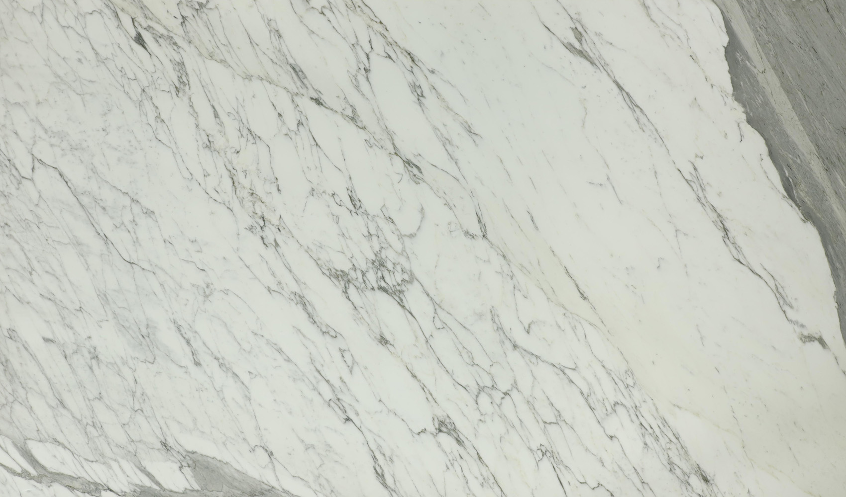 Statuario Corchia — мрамор — фрагмент