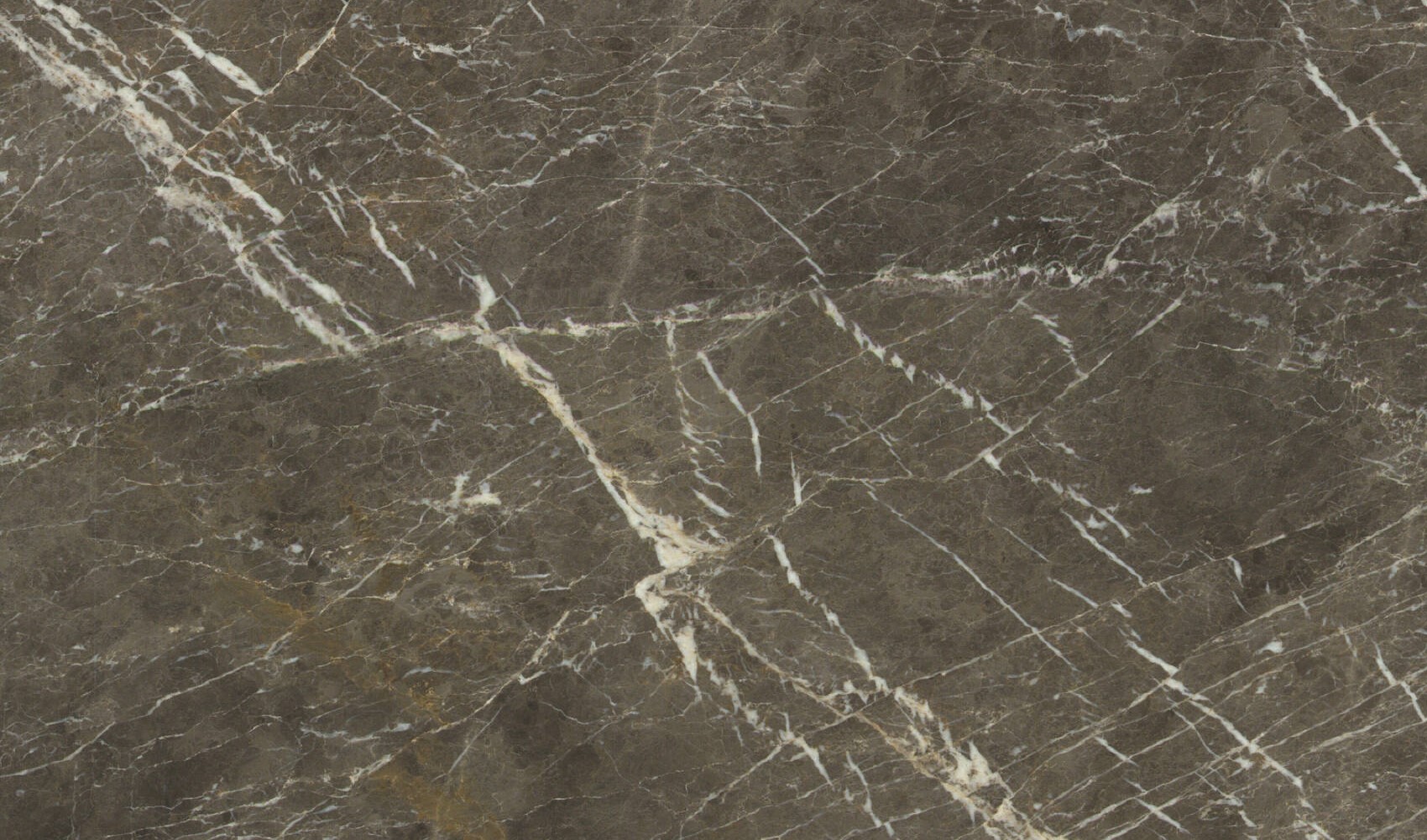 Solo Grey — мрамор — фрагмент