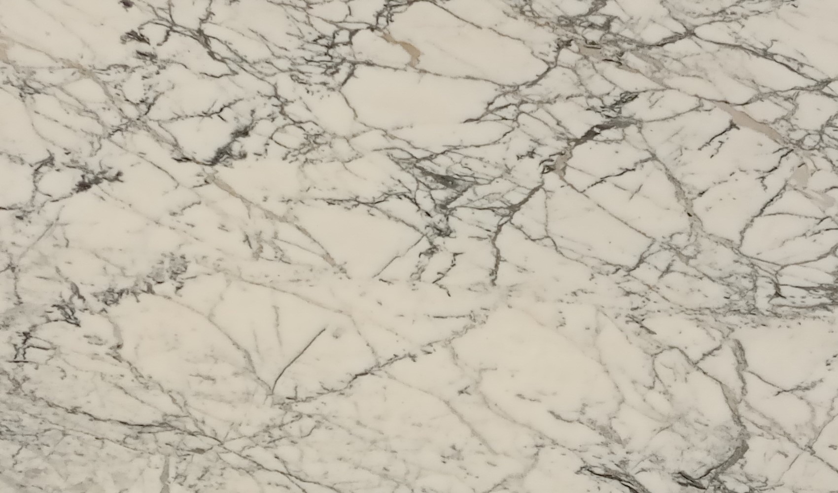 Calacatta Paonozzo White — мрамор — фрагмент