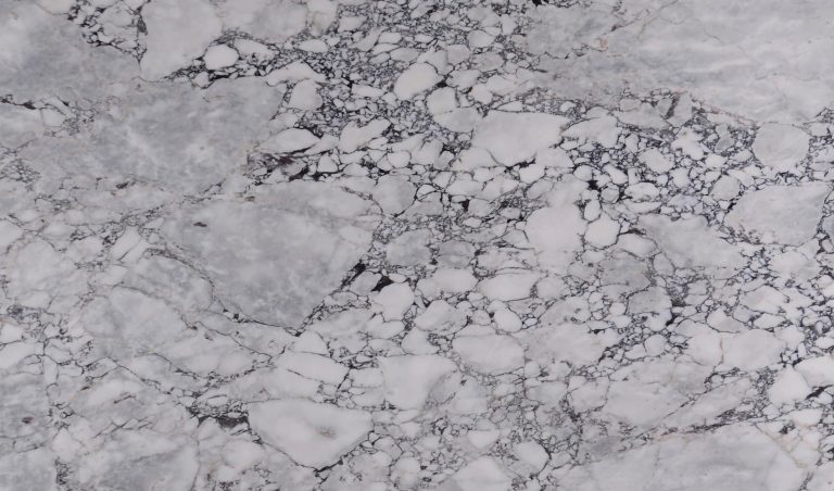 Arabescato Argento — мрамор — фотография камня
