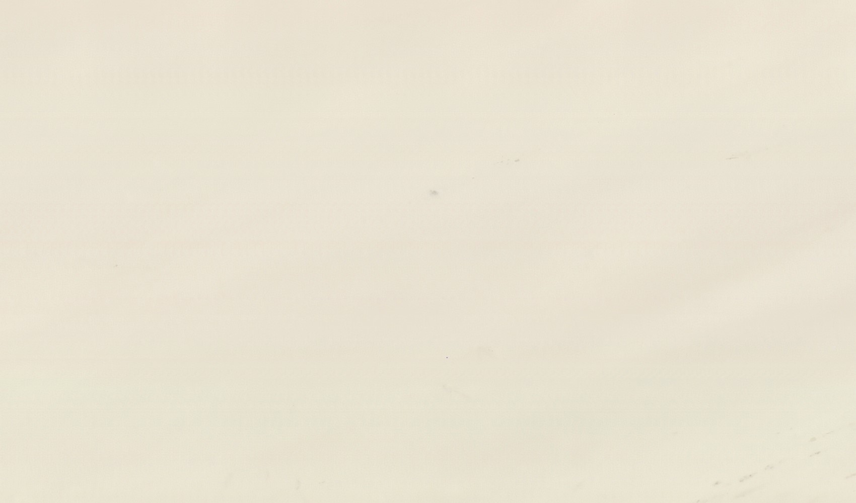 Sivec White — мрамор — фрагмент