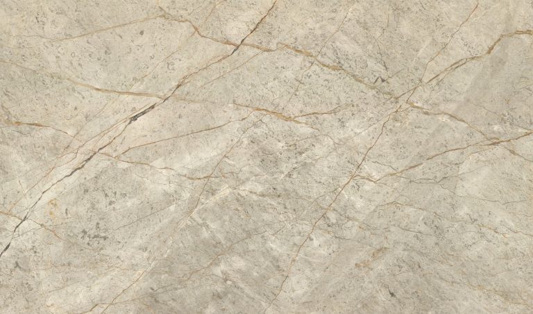 Light Silver Roots — мрамор — фотография камня