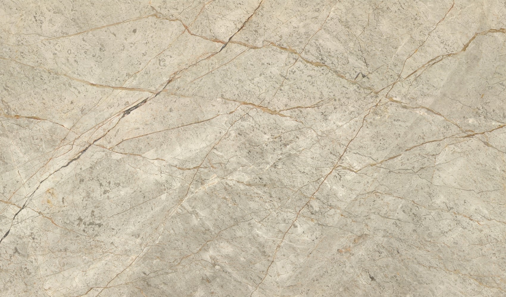 Light Silver Roots — мрамор — фрагмент