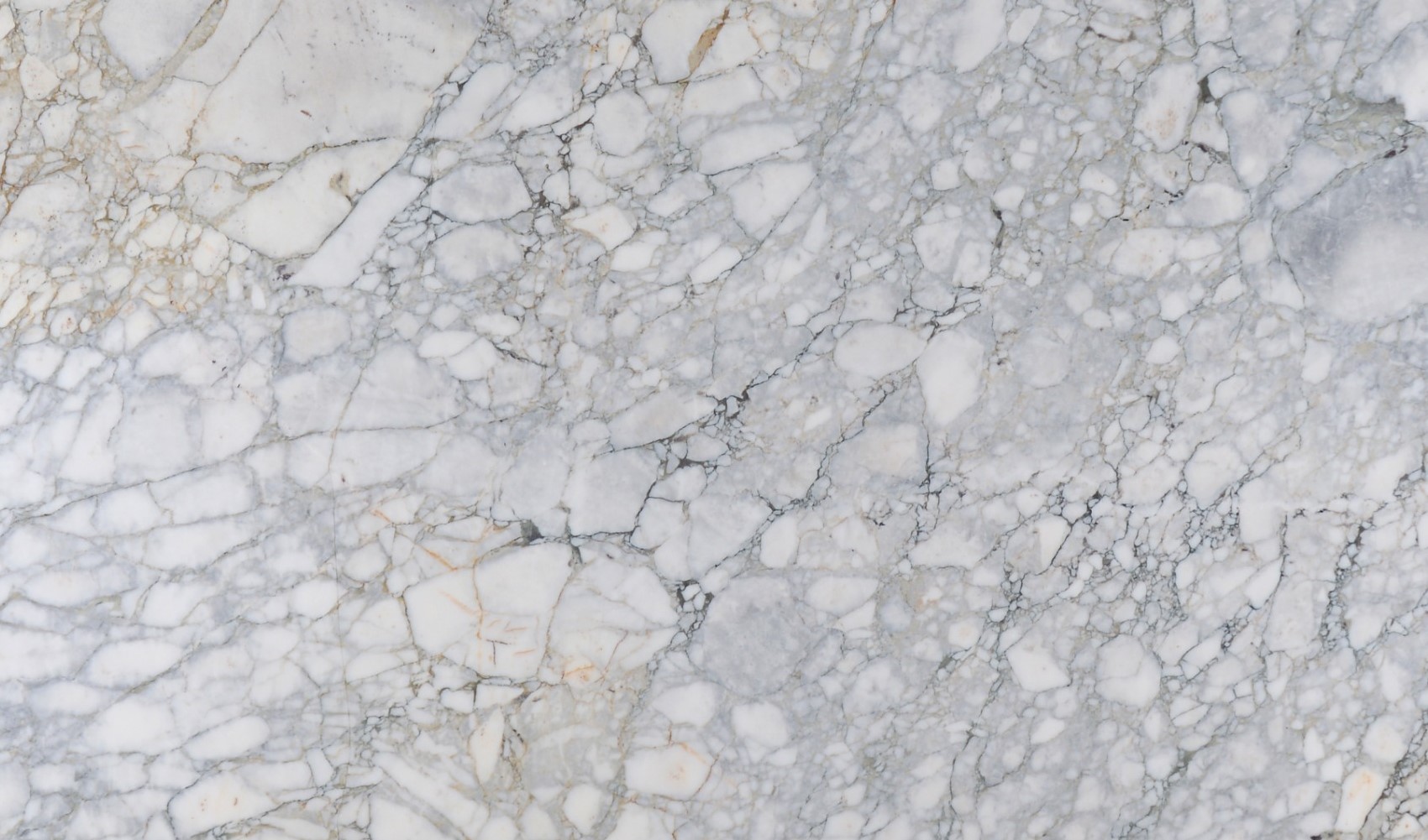 Arabescato Argento Green — мрамор — фрагмент