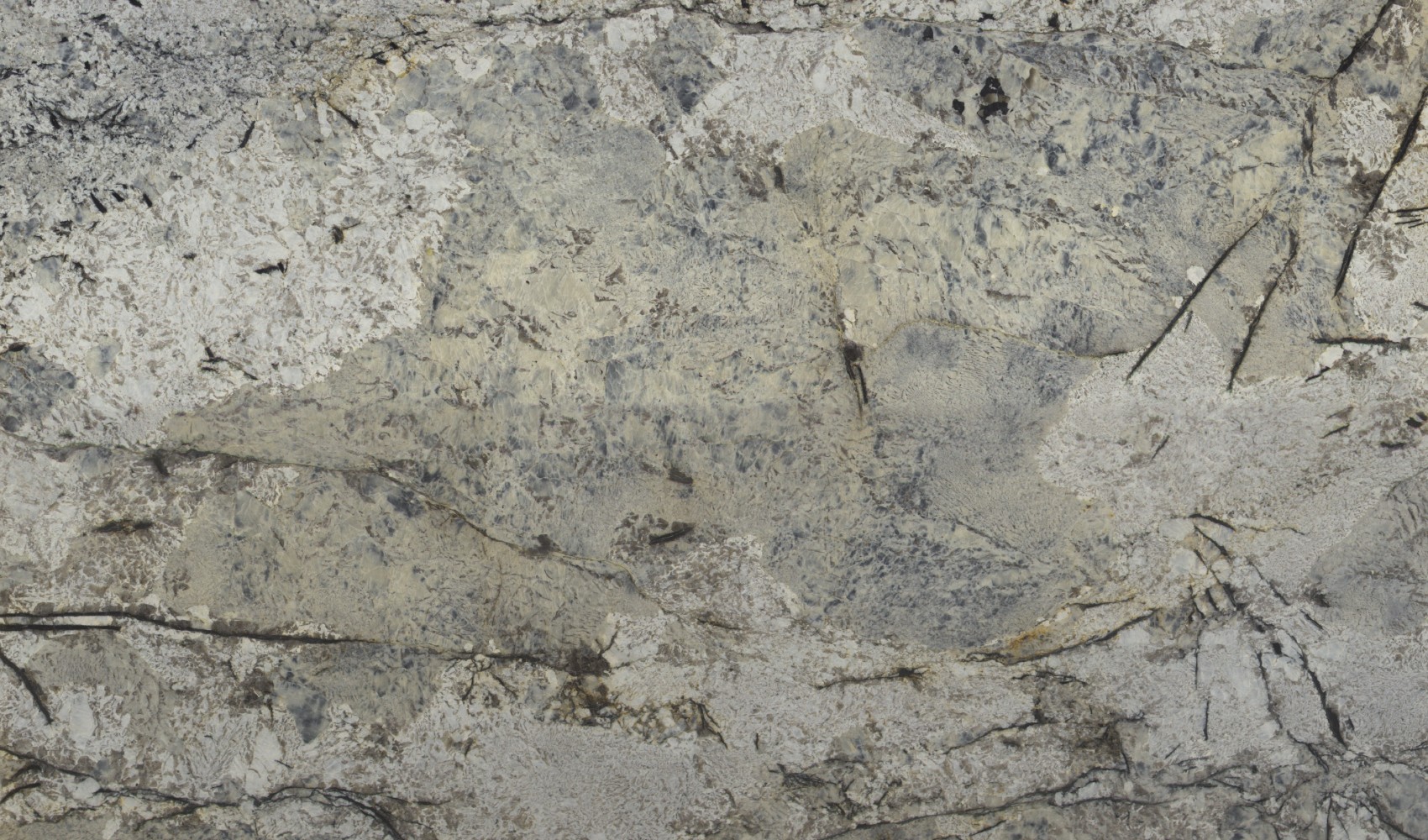 Glacier White — гранит — фрагмент