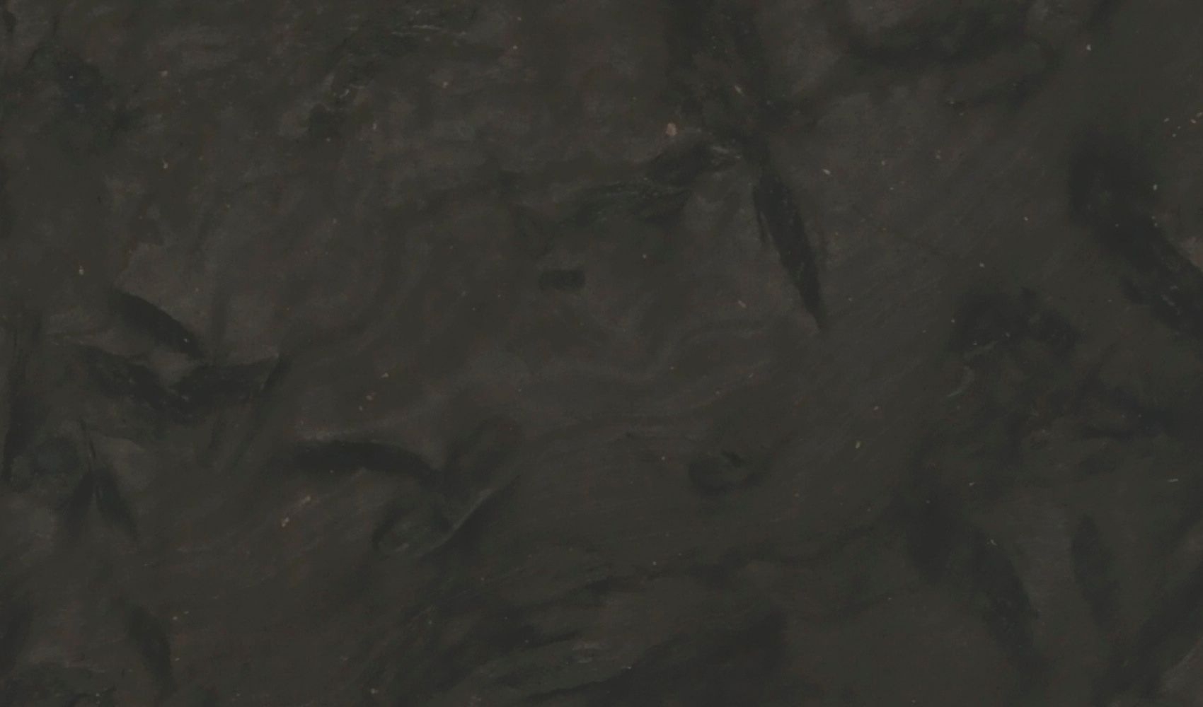 Belatrix — гранит — фрагмент