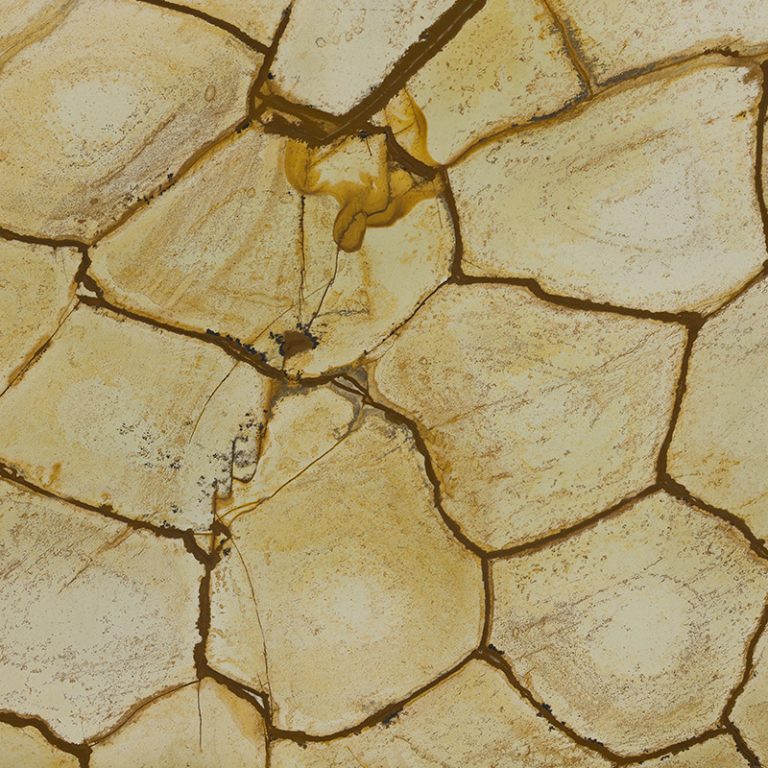 Breccia Romano — кварцит — фотография камня