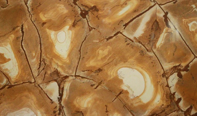 Stone Wood — кварцит — фотография камня