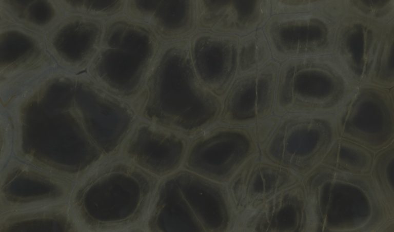 Tortuga — кварцит — фотография камня