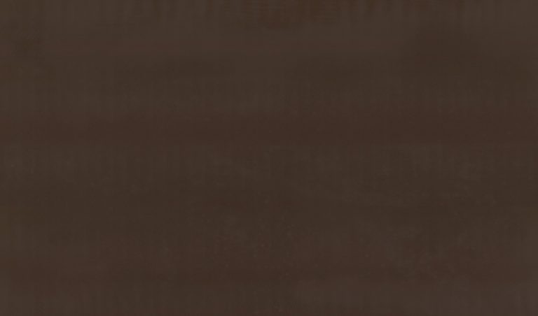 Absolute Brown — кварцит