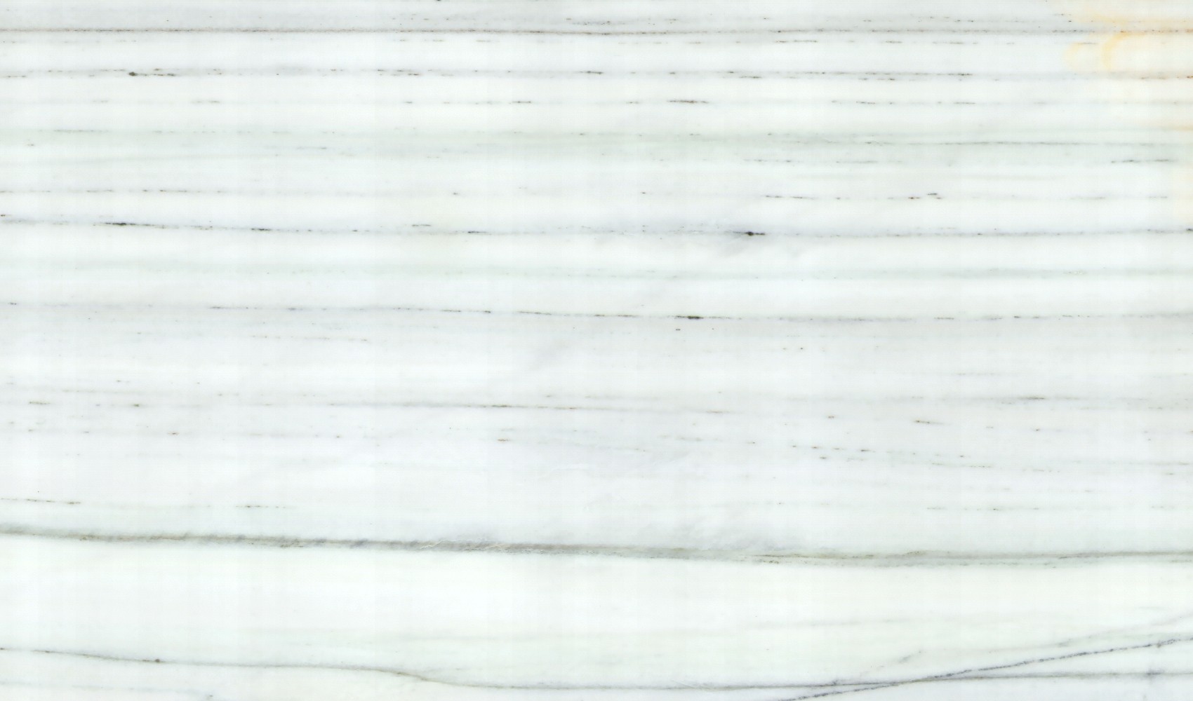 Bianco Lasa New — мрамор — фрагмент