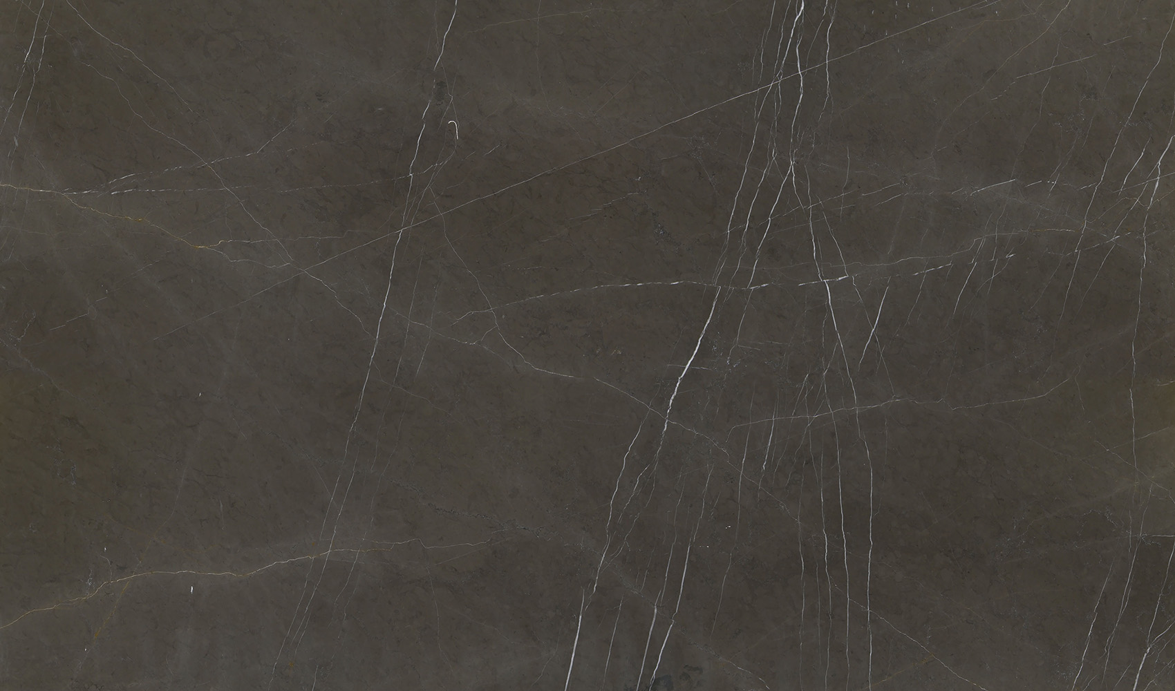 Pietra Grey Extra — мрамор — фрагмент
