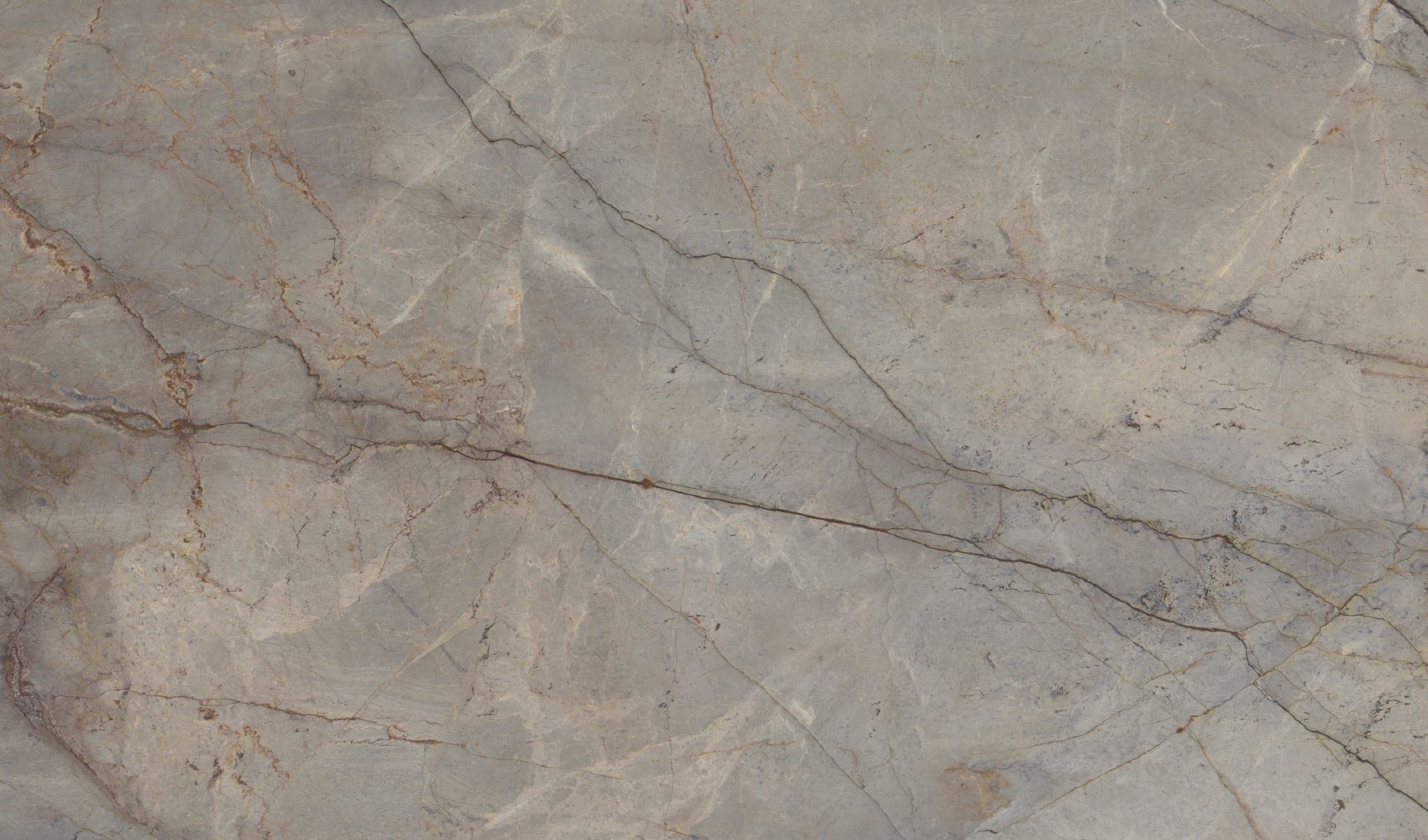 Silver Roots — мрамор — фрагмент