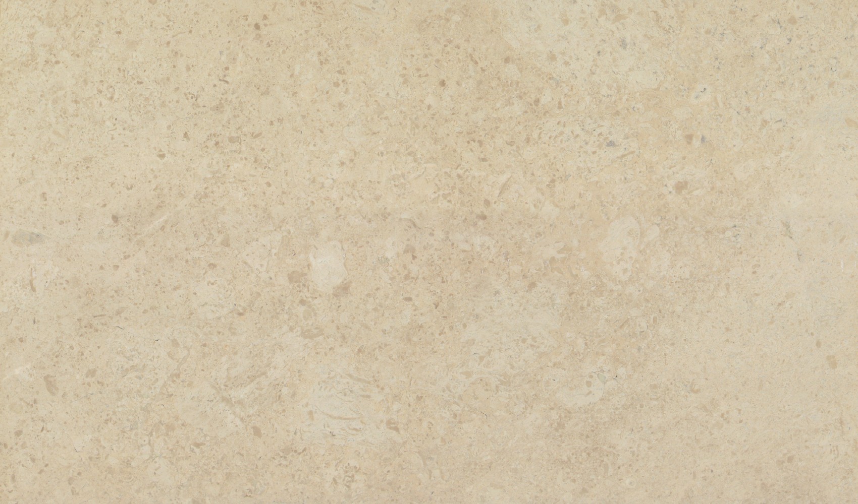 Venezia Delicato — мрамор — фрагмент