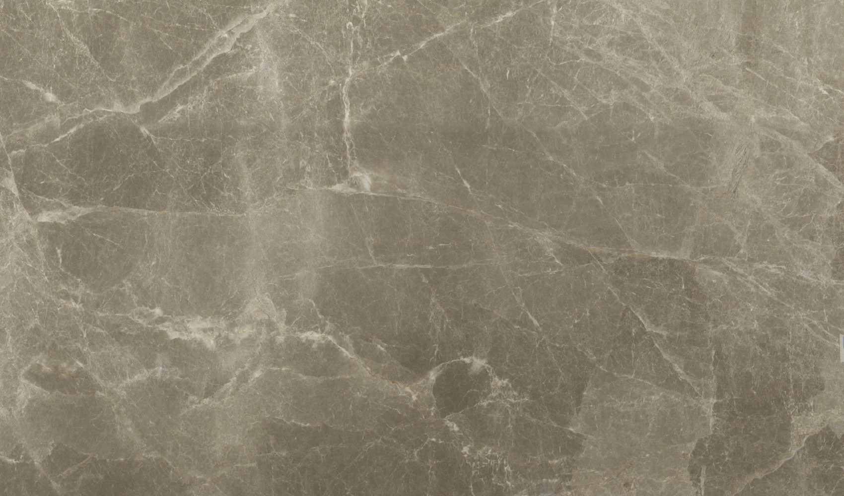 Tempus Grey — мрамор — фрагмент