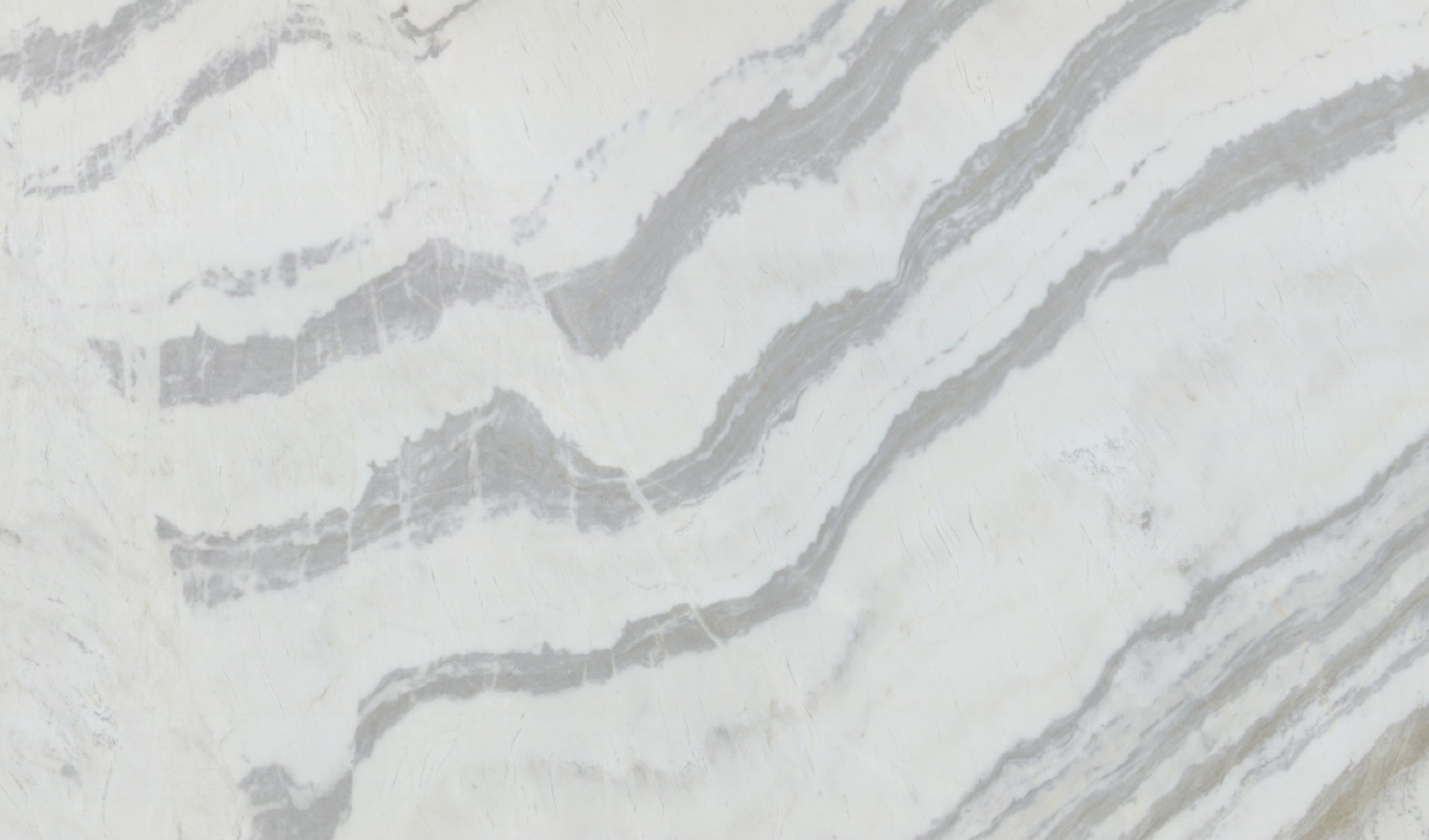 Calacatta Dolomite — мрамор — фрагмент