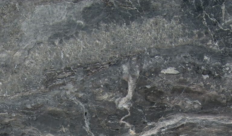 Arabescato Orobico New — мрамор — фотография камня