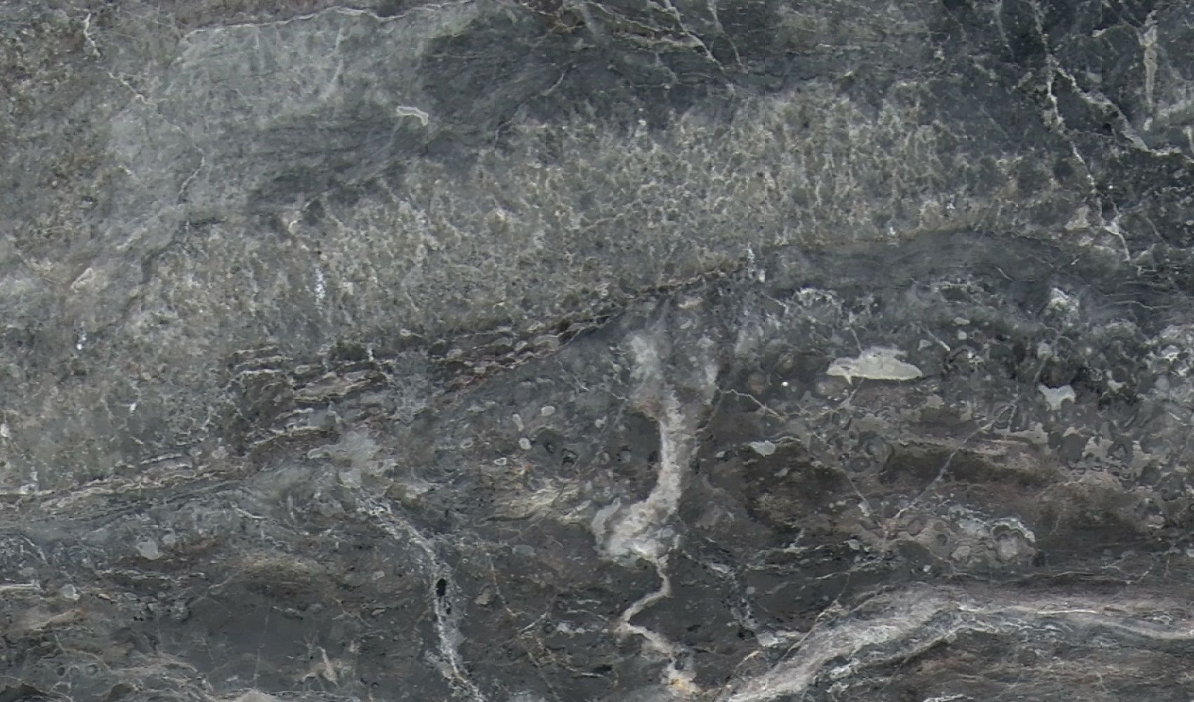Arabescato Orobico New — мрамор — фрагмент