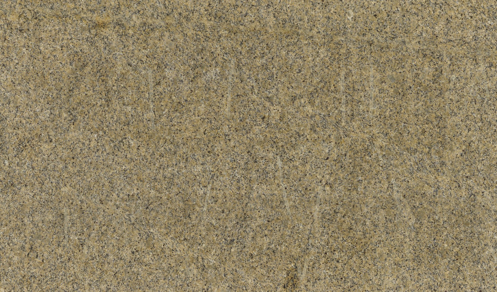 New Venetian Gold — гранит — фрагмент